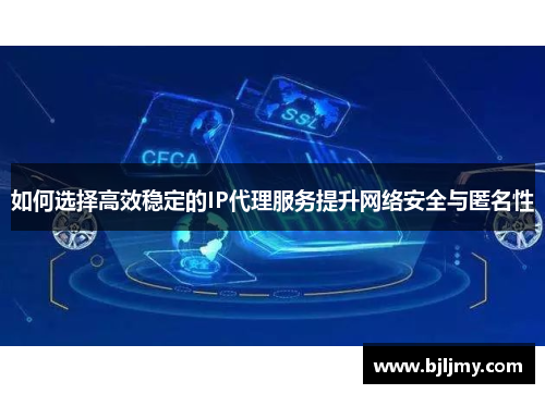 如何选择高效稳定的IP代理服务提升网络安全与匿名性