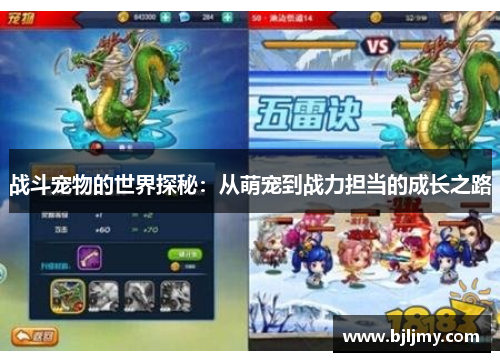 战斗宠物的世界探秘：从萌宠到战力担当的成长之路