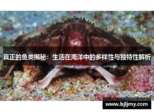 真正的鱼类揭秘：生活在海洋中的多样性与独特性解析