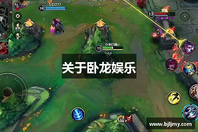 关于卧龙娱乐